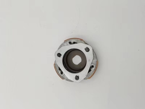 Clutch SH TEC 123